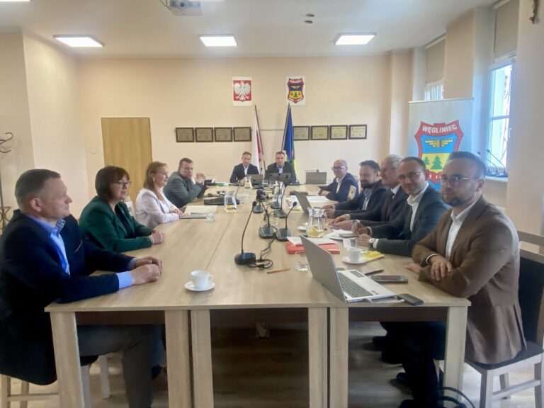 𝗭𝘄𝘆𝗰𝘇𝗮𝗷𝗻𝗲 𝗭𝗴𝗿𝗼𝗺𝗮𝗱𝘇𝗲𝗻𝗶𝗲 𝗪𝘀𝗽𝗼́𝗹𝗻𝗶𝗸𝗼́𝘄